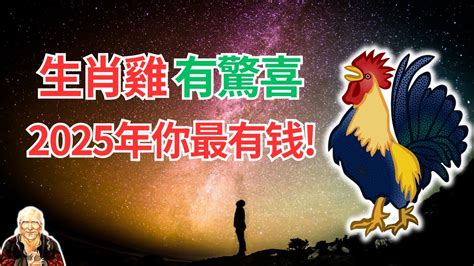 雞幸運顏色|2025年屬雞人的幸運顏色是什麼？全面解析與建議